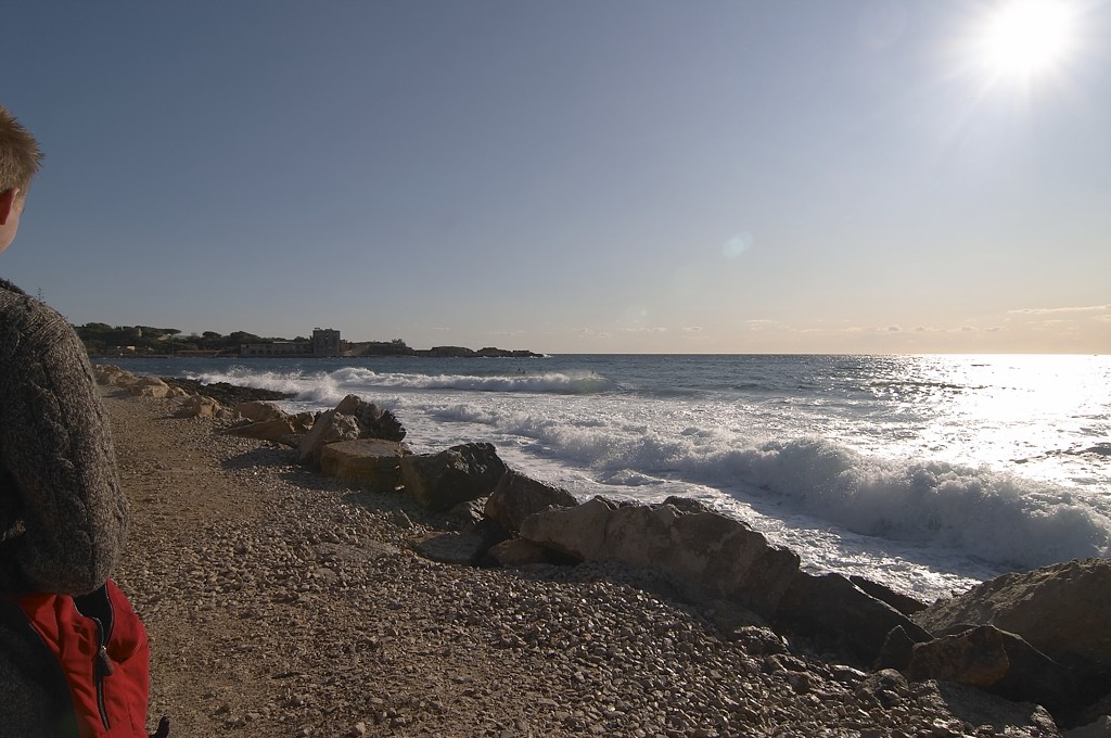 CRW_7591-1.jpg