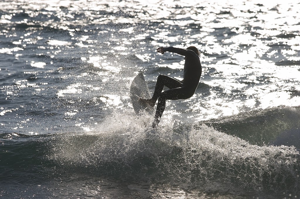 CRW_7593.jpg