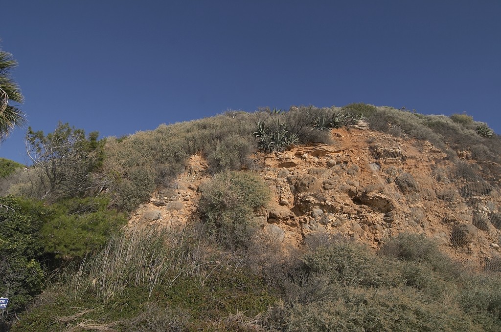 CRW_7595.jpg