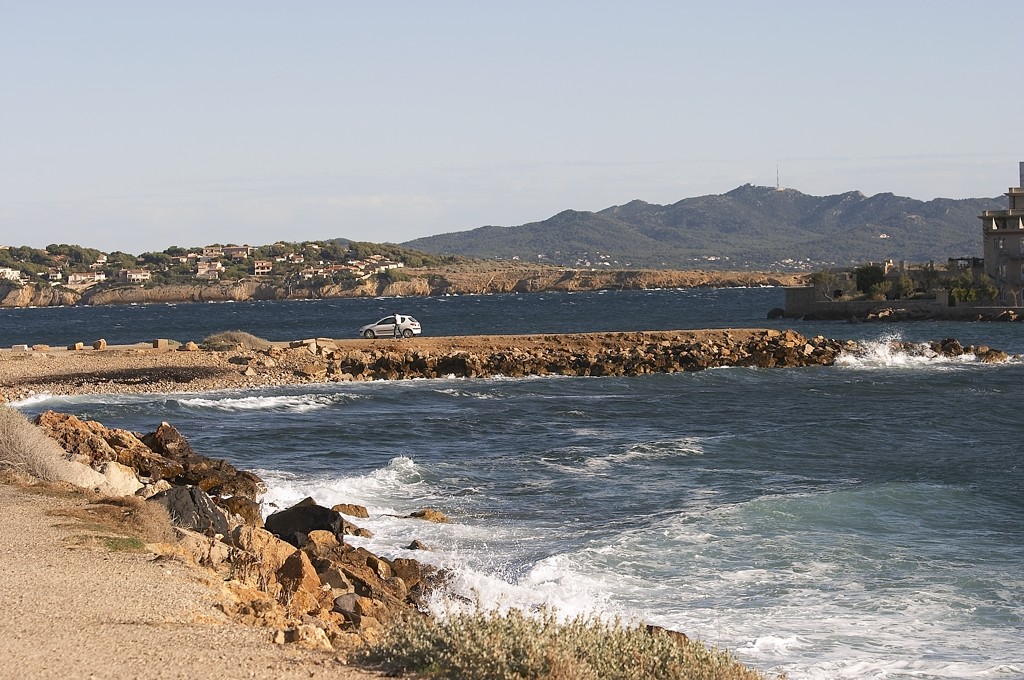 CRW_7596.jpg