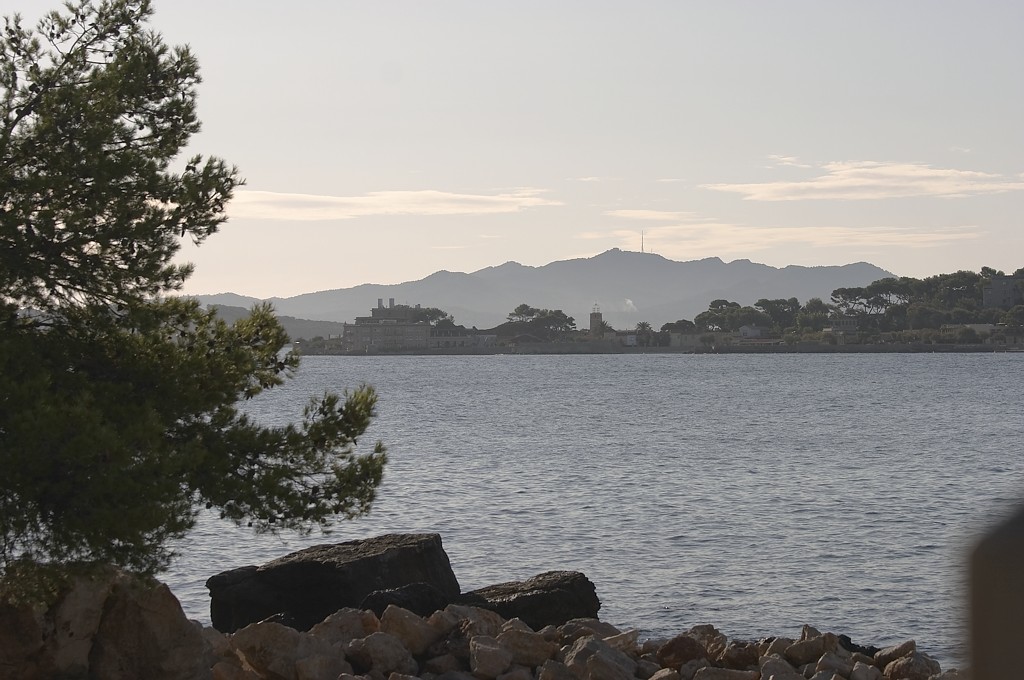 CRW_7600.jpg